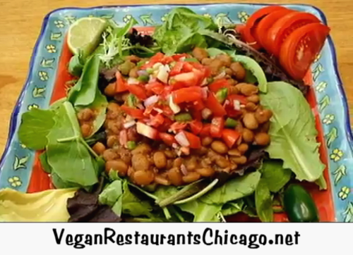 New Chicago Vegan Restaurant Healthy Diet Menu Featured on VeganRestaurantsChicago.net